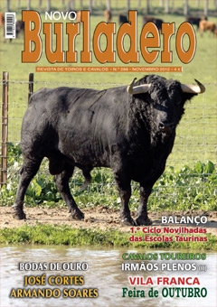 Revista Novo Burladero Nº 288 Novembro de 2012
