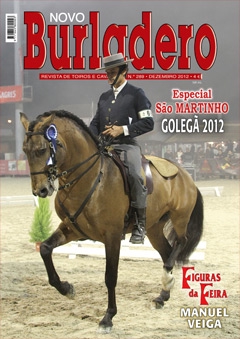 Revista Novo Burladero Nº 289 Dezembro de 2012