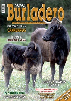Revista Novo Burladero Nº 290 Janeiro de 2013