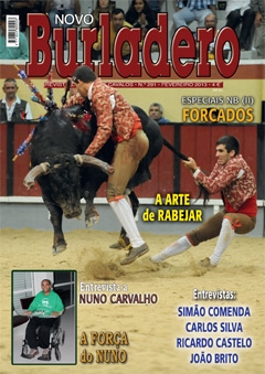 Revista Novo Burladero Nº 291 Fevereiro de 2013
