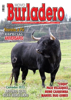 Revista Novo Burladero Nº 293 Abril de 2013