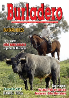 Revista Novo Burladero Nº 294 Maio de 2013