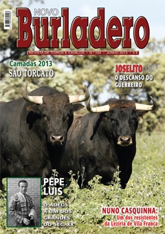 Revista Novo Burladero Nº 295 Junho de 2013