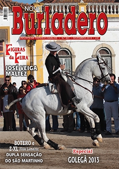 Revista Novo Burladero Nº 301 Dezembro de 2013