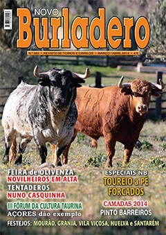 Revista Novo Burladero Nº 303 Mar/Abr de 2014
