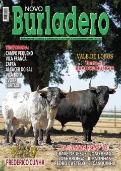 Revista Novo Burladero Nº 322 Novembro de 2015