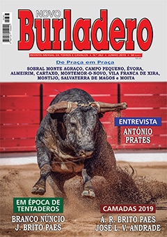 Revista Novo Burladero Nº 363 Junho de 2019