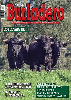 Revista Novo Burladero Nº 371 Fevereiro de 2020