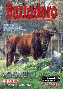 Revista Novo Burladero Nº 378 Mai. / Jun. 2021