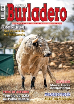 Revista Novo Burladero Nº 396 Novembro 2022
