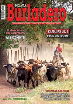 Revista Novo Burladero Nº 415 Junho de 2024