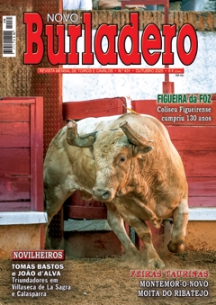 Revista Novo Burladero Nº 431 Outubro de 2025